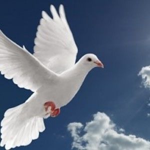 Meet your Posher, Axel